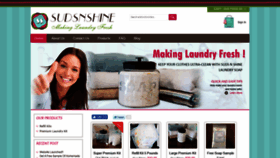 What Homemade-laundry-soap.com website looked like in 2019 (4 years ago)