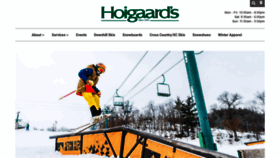 What Hoigaards.com website looked like in 2019 (4 years ago)