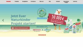 What Henkel-reiniger.de website looked like in 2019 (4 years ago)