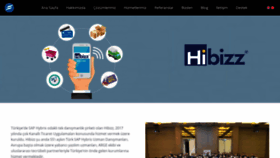 What Hibizz.com website looked like in 2019 (4 years ago)