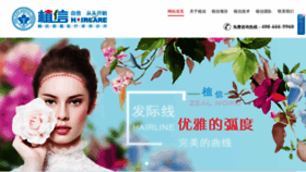 What Hairsos.cn website looked like in 2019 (4 years ago)