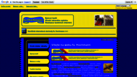 What Hochmann.cz website looked like in 2019 (4 years ago)