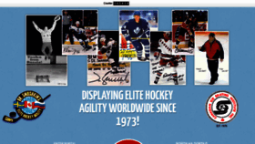 What Hockeyagility.com website looked like in 2019 (4 years ago)