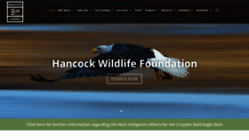 What Hancockwildlifechannel.org website looked like in 2019 (4 years ago)