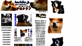 What Hachiko.jp website looked like in 2019 (4 years ago)