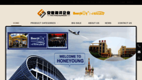 What Hychinabag.com website looked like in 2019 (4 years ago)