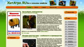 What Hitagro.ru website looked like in 2019 (4 years ago)