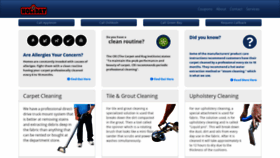 What Holidaycleaningservices.com website looked like in 2019 (4 years ago)