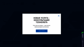 What Himtek-yar.ru website looked like in 2019 (4 years ago)