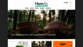 What Homap.fr website looked like in 2019 (4 years ago)