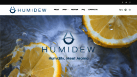 What Humidew.com website looked like in 2019 (4 years ago)