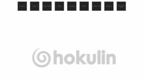 What Hokulin.com website looked like in 2019 (4 years ago)
