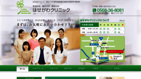 What Hasegawa-clinic.com website looked like in 2019 (4 years ago)