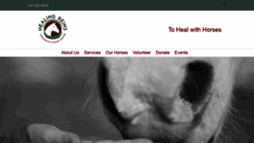 What Healingreins.org website looked like in 2019 (4 years ago)