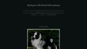 What Halcyonshelties.com website looked like in 2019 (4 years ago)