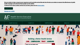 What Hse.ie website looked like in 2019 (4 years ago)