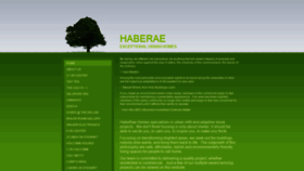 What Haberae.com website looked like in 2019 (4 years ago)