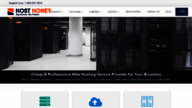 What Hosthoney.com website looked like in 2019 (4 years ago)