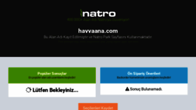 What Havvaana.com website looked like in 2020 (4 years ago)