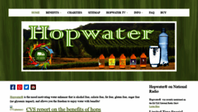 What Hopwater.com website looked like in 2020 (4 years ago)