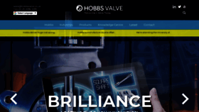 What Hobbsvalve.co.uk website looked like in 2020 (4 years ago)