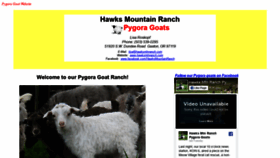 What Hmrpygoras.com website looked like in 2020 (4 years ago)