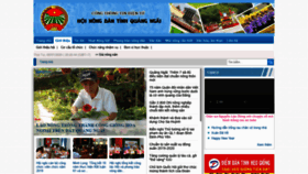 What Hoinongdanquangngai.org.vn website looked like in 2020 (4 years ago)