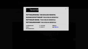 What Hexental.be website looked like in 2020 (4 years ago)