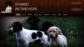 What Hybridretrievers.com website looked like in 2020 (4 years ago)