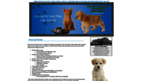 What Hollypetvets.com website looked like in 2020 (4 years ago)