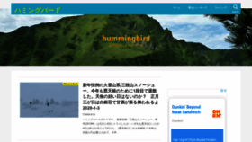 What Hummingbirdnet.com website looked like in 2020 (4 years ago)