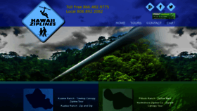 What Hawaiiziplines.com website looked like in 2020 (4 years ago)