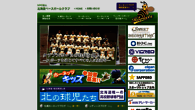 What Hornets.jp website looked like in 2020 (4 years ago)