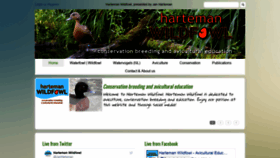 What Harteman.nl website looked like in 2020 (4 years ago)