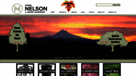 What Hansnelson.com website looked like in 2020 (4 years ago)