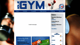 What Holjegym.se website looked like in 2020 (4 years ago)