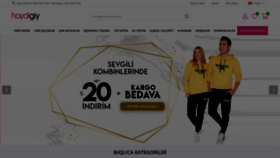 What Haydigiy.com website looked like in 2020 (5 years ago)