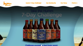 What Hummkombucha.com website looked like in 2020 (4 years ago)