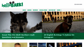 What Hellobark.com website looked like in 2020 (4 years ago)