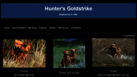 What Huntersgoldstrike.com website looked like in 2020 (4 years ago)