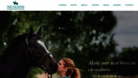 What Horseadoption.com website looked like in 2020 (4 years ago)