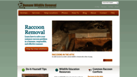 What Humaneraccoonremoval.org website looked like in 2020 (4 years ago)