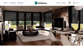 What Hanarol.pl website looked like in 2020 (4 years ago)