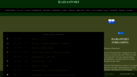 What Hahasport.eu website looked like in 2020 (4 years ago)