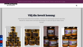 What Hokensasbigardar.se website looked like in 2020 (4 years ago)