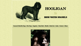 What Hooliganiws.com website looked like in 2020 (4 years ago)