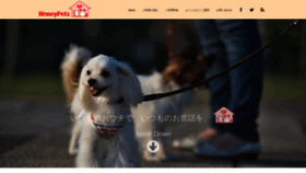 What Honey-pets.com website looked like in 2020 (4 years ago)