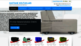 What Hastanekoltugu.net website looked like in 2020 (4 years ago)