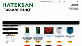 What Hateksantarim.com website looked like in 2020 (4 years ago)