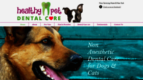What Healthypetdentalcare.com website looked like in 2020 (4 years ago)